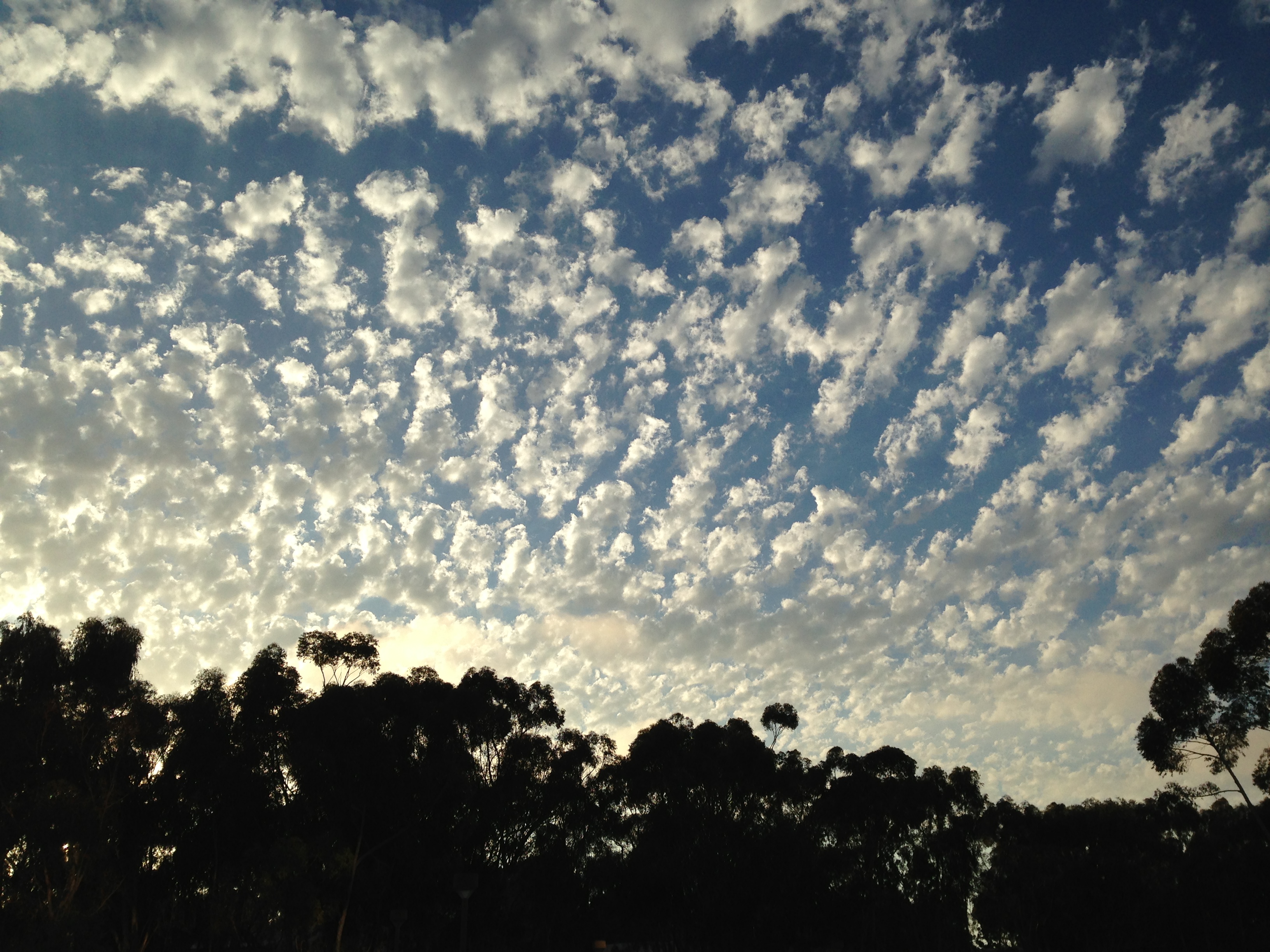 Clouds at UCSD 4 2013-08-24