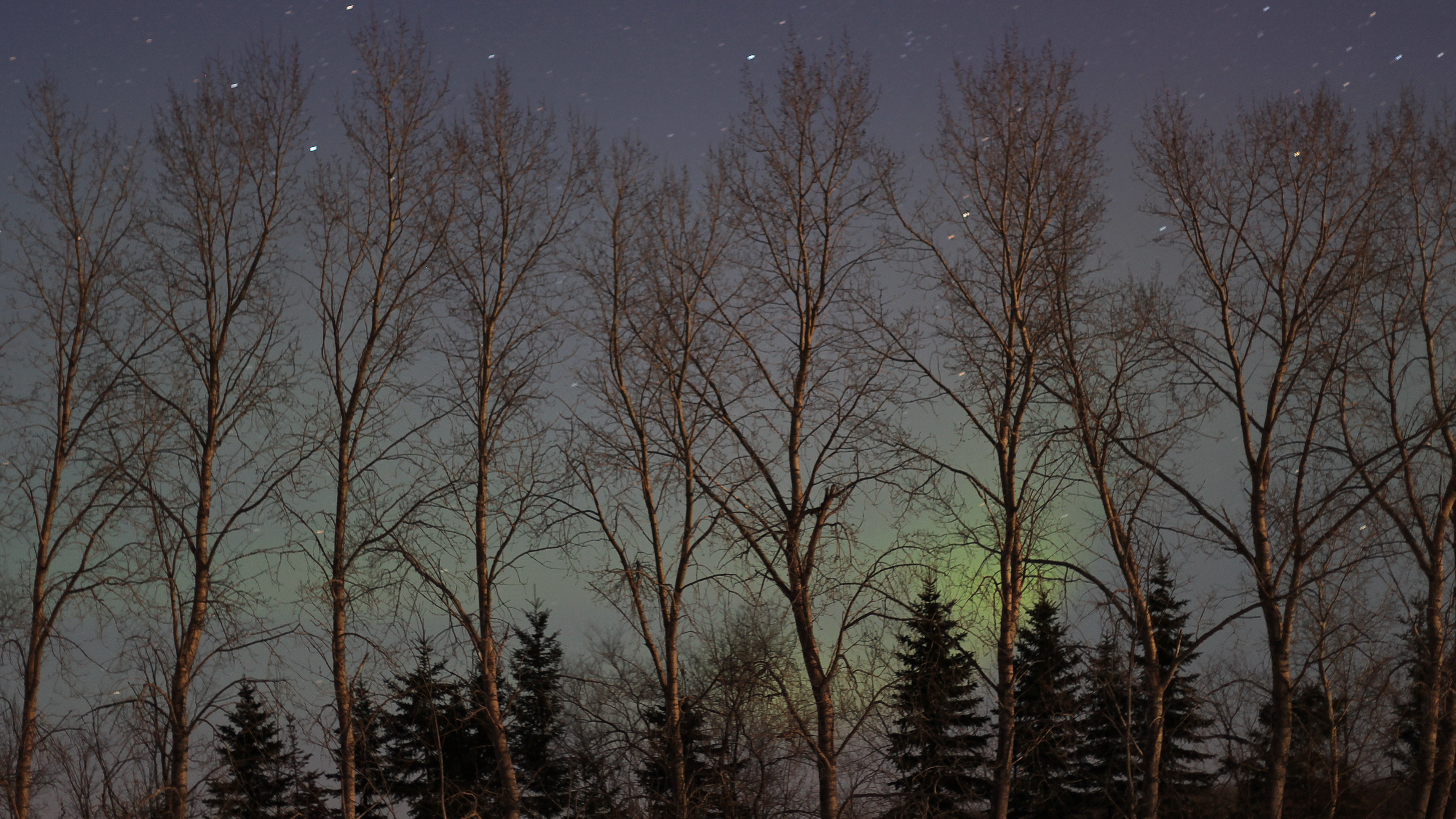 Northern Lights. Taken in St. Andrews, Manitoba (500456) (14023836182)
