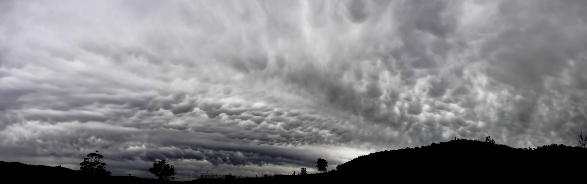 Mammatus cloud panorama