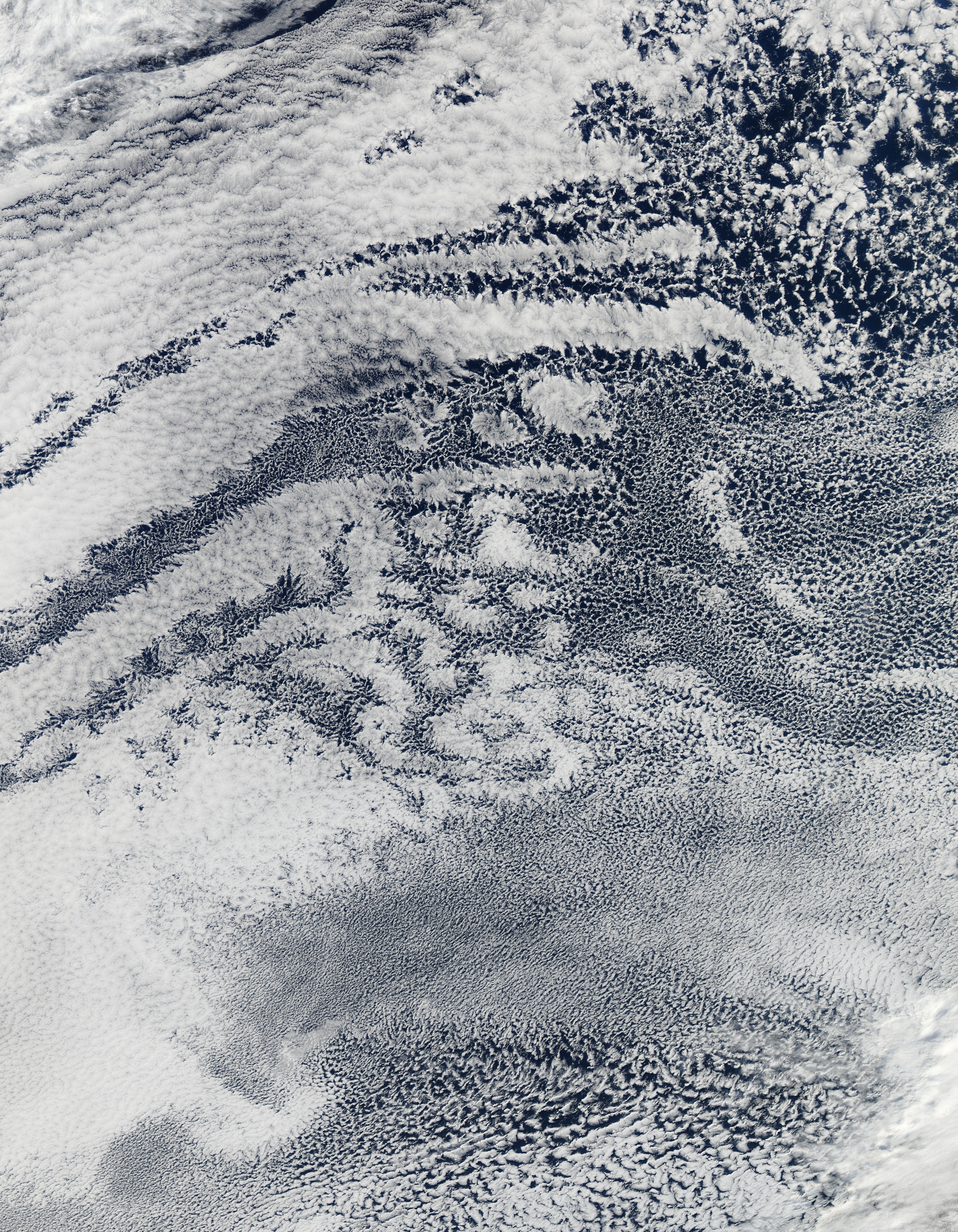 Open- and Closed-Cell Clouds over the Pacific Ocean
