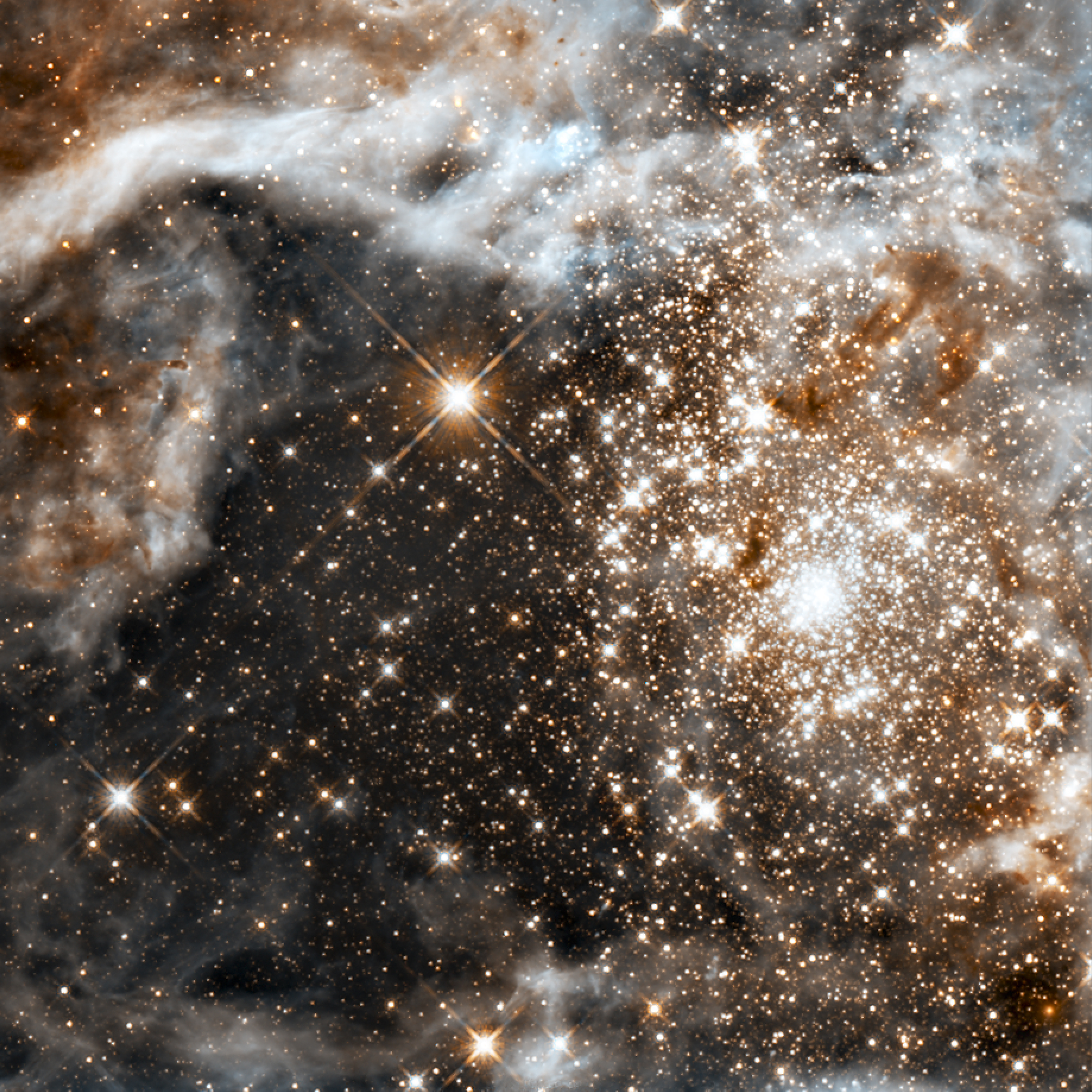 Grand star-forming region R136 in NGC 2070 (infrared, captured by the Hubble Space Telescope)