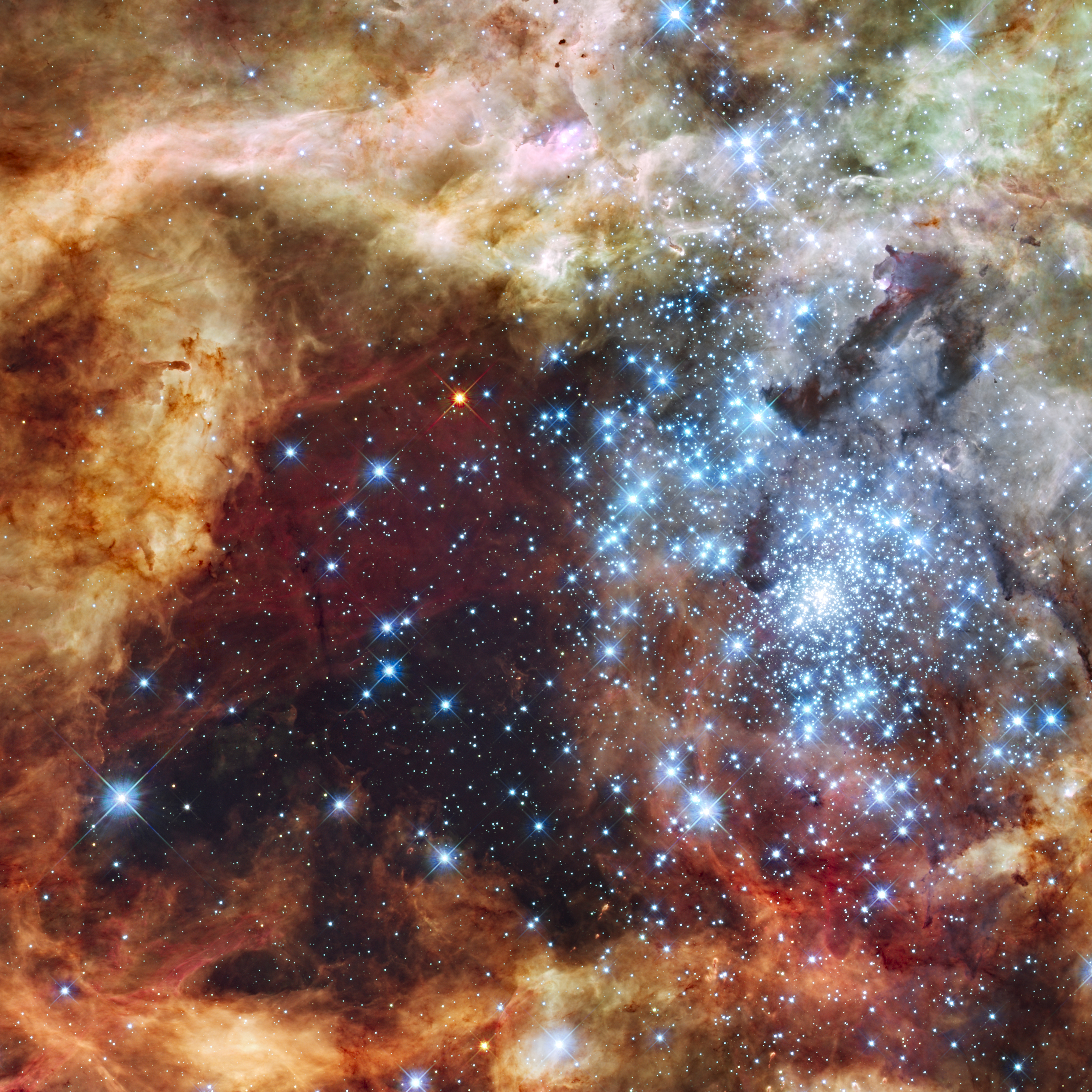Grand star-forming region R136 in NGC 2070 (visible and ultraviolet, captured by the Hubble Space Telescope)