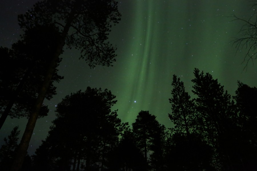 Aurora borealis - Inarijärvi Finland 2013.03.10-11 033