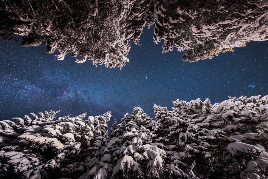 Winter night at Pokljuka forest in Slovenia