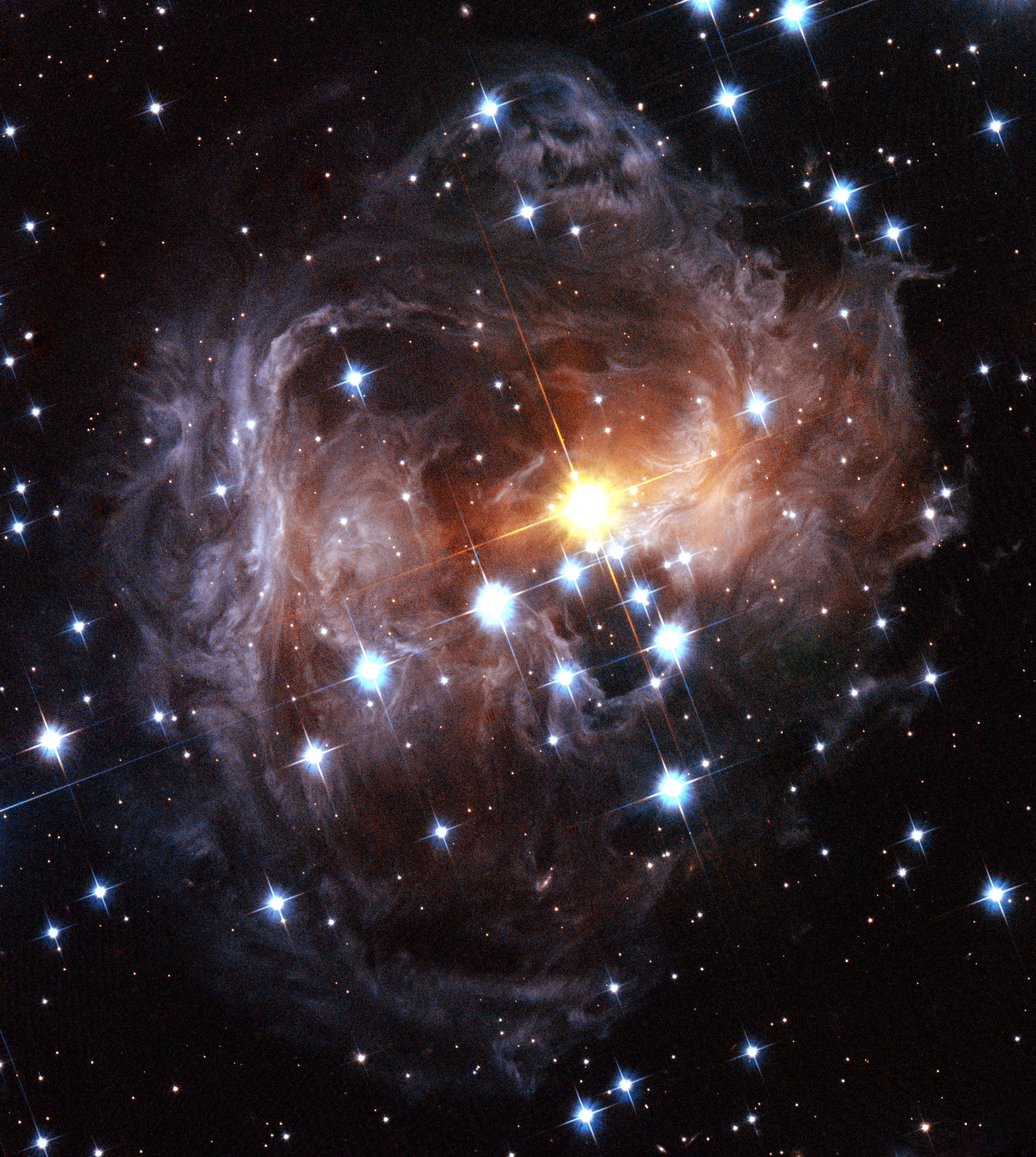 V838 Monocerotis light echo (HST, November 2005)
