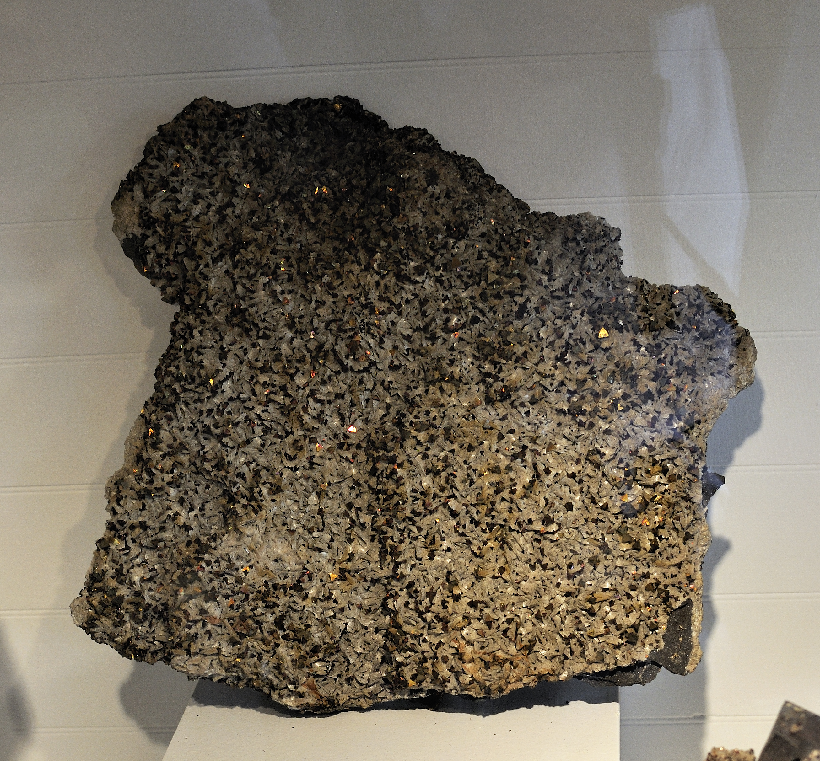 Harvard Museum of Natural History. Chalcopyrite. Cherokee Co., KS (DerHexer) 2012-07-20