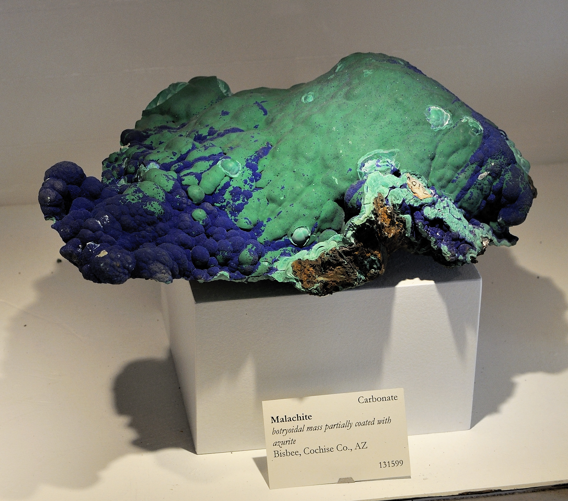 Harvard Museum of Natural History. Malachite. Bisbee, Cochise Co., AZ (DerHexer) 2012-07-20