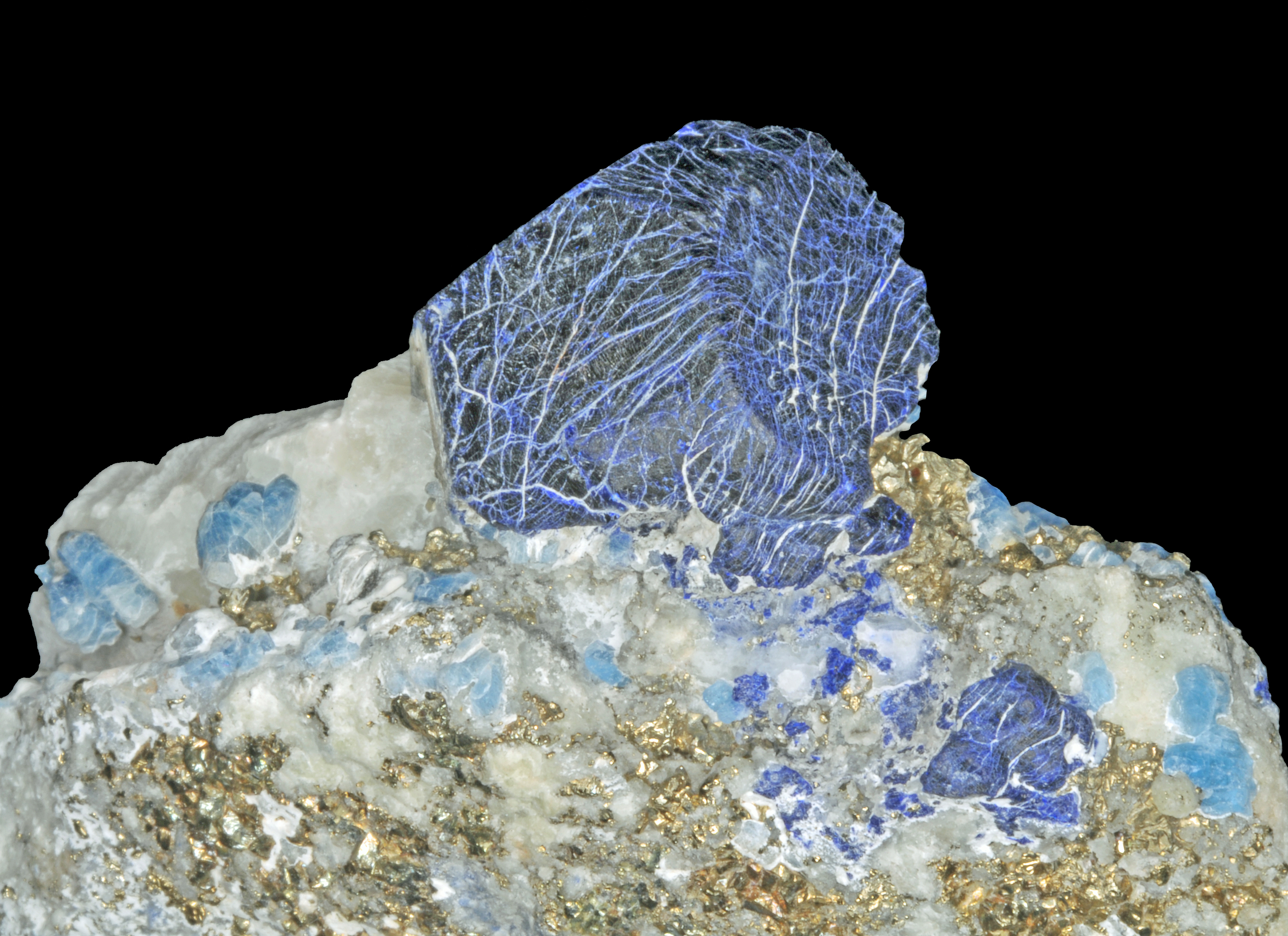 Lazurite, afghanite et pyrite sur calcite (Sar-e-Sang, Koksha Valley, Badakshan - Afghanistan) 1