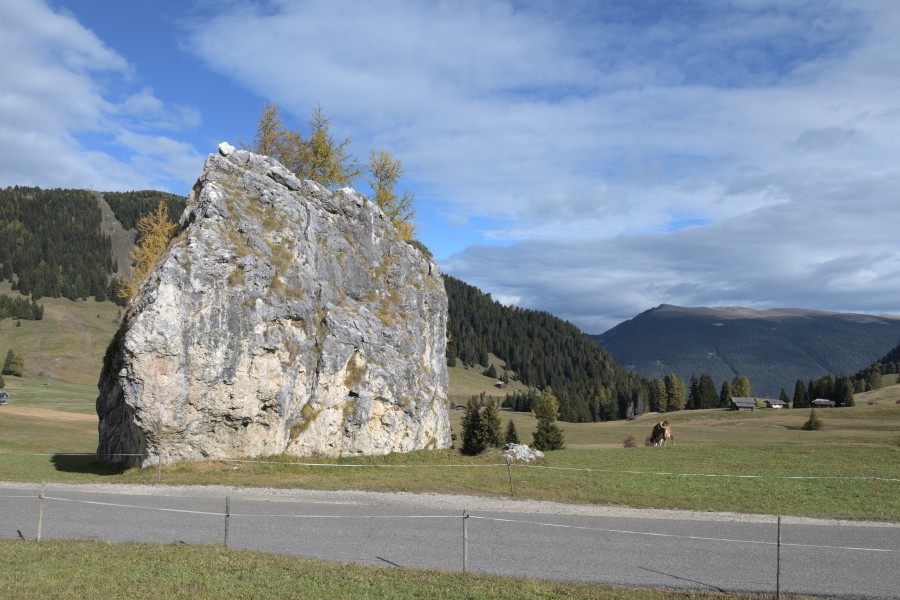 Erratischer Dolomit-Block Cionstoan Seiseralm 2017 Raschötz