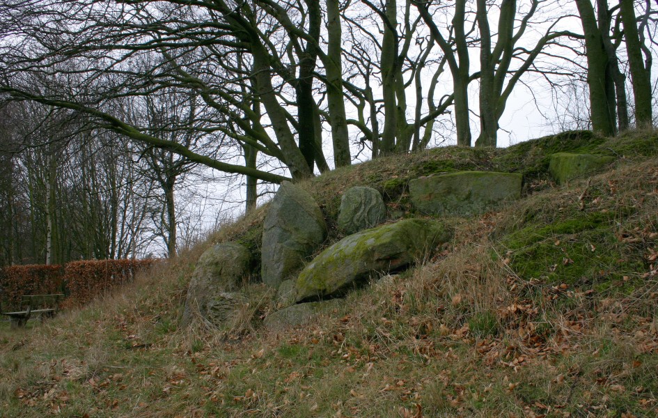 Megalith Kolding Stenderup Denmark 2009 099