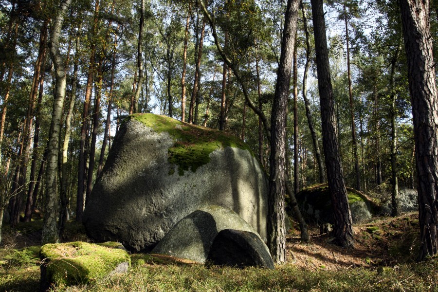 Natural monument Krtské skály in 2014 (11)