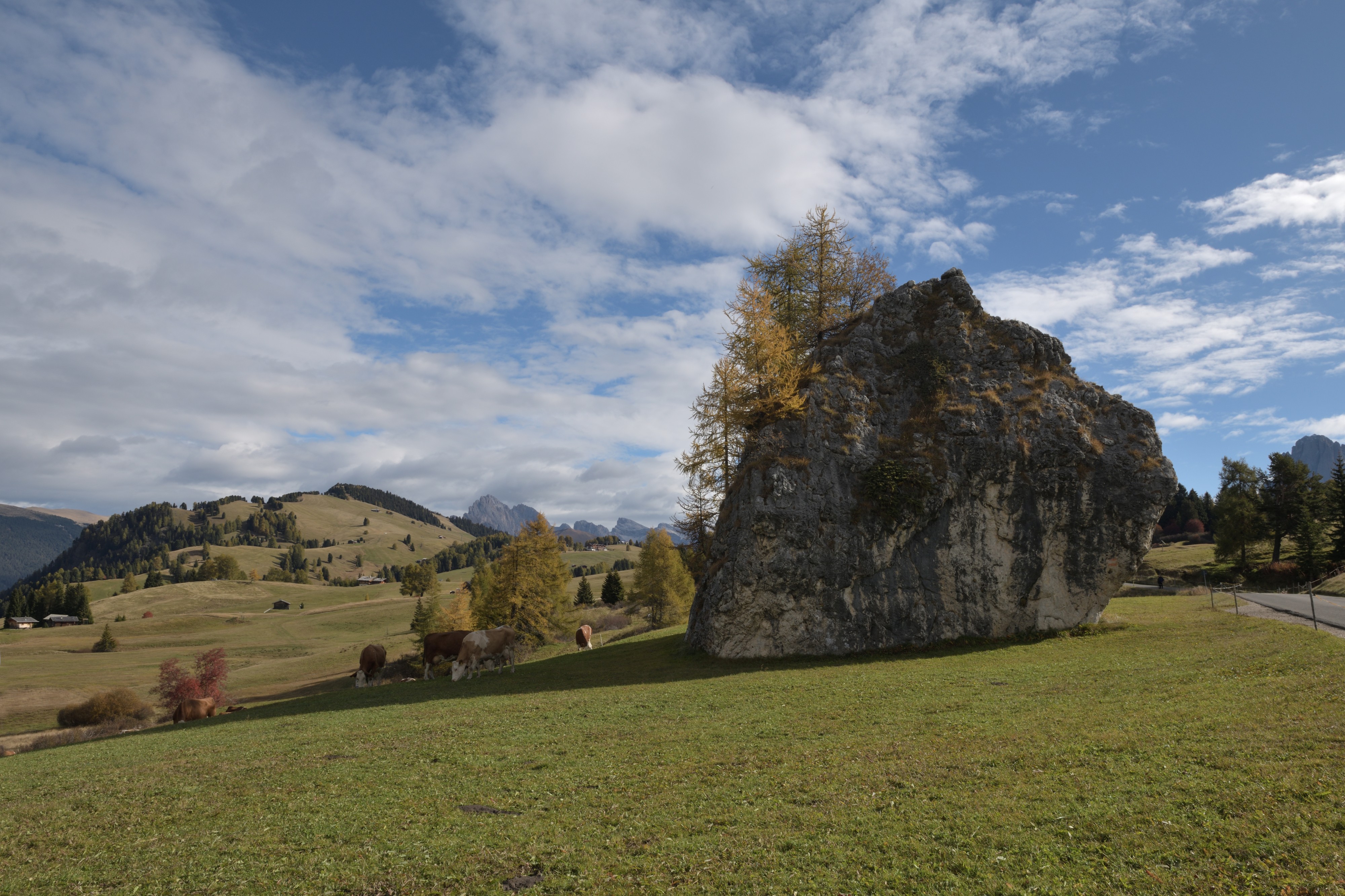 Erratischer Dolomit-Block Cionstoan Seiseralm 2017 Weide