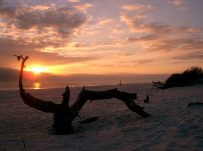 This photograph was taken on a beach at the Gulf of Mexico located between Destin, FL and Eglin AFB.