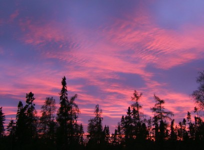 Last nights sunset looked pretty much like this, I saturated the color a tiny bit. The entire sky was pink, it was something to see.