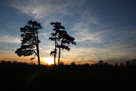 The sunsets between the 