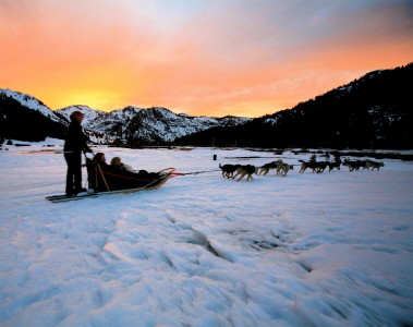 The sled dogs would go cross-eyed nuts with excitement just before the sled brake was lifted and they could lunge forward.