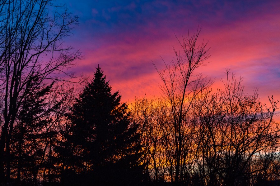 Minnesota Spring Sunset - Pink Sky (25740285645)