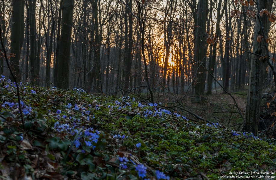 a sunset in Ukraine photographed in March 2019 by Serhiy Lvivsky, picture 1