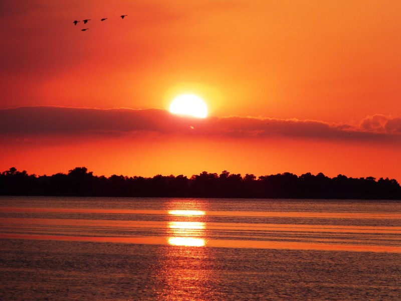 Sunset over Lake Mattamuskeet with ducks in the sky (12331241493)
