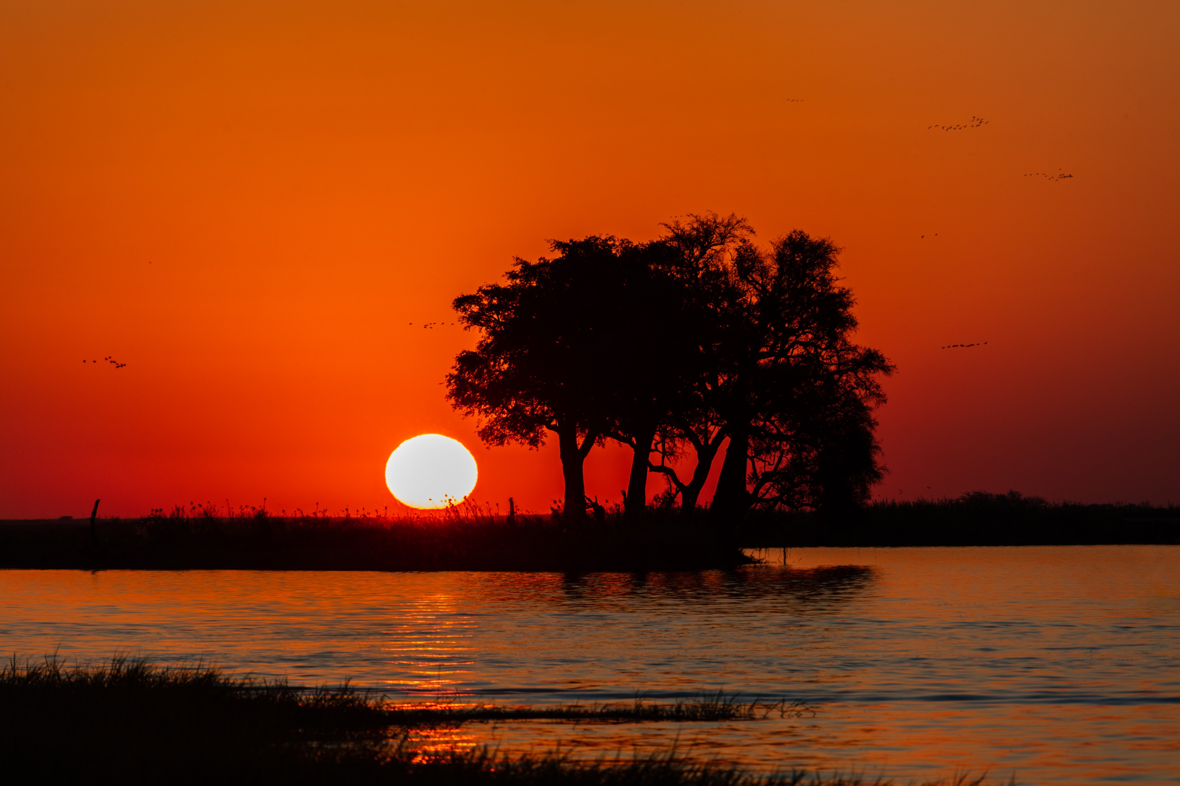 Puesta de sol en el río Chobe, parque nacional de Chobe, Botsuana, 2018-07-28, DD 88