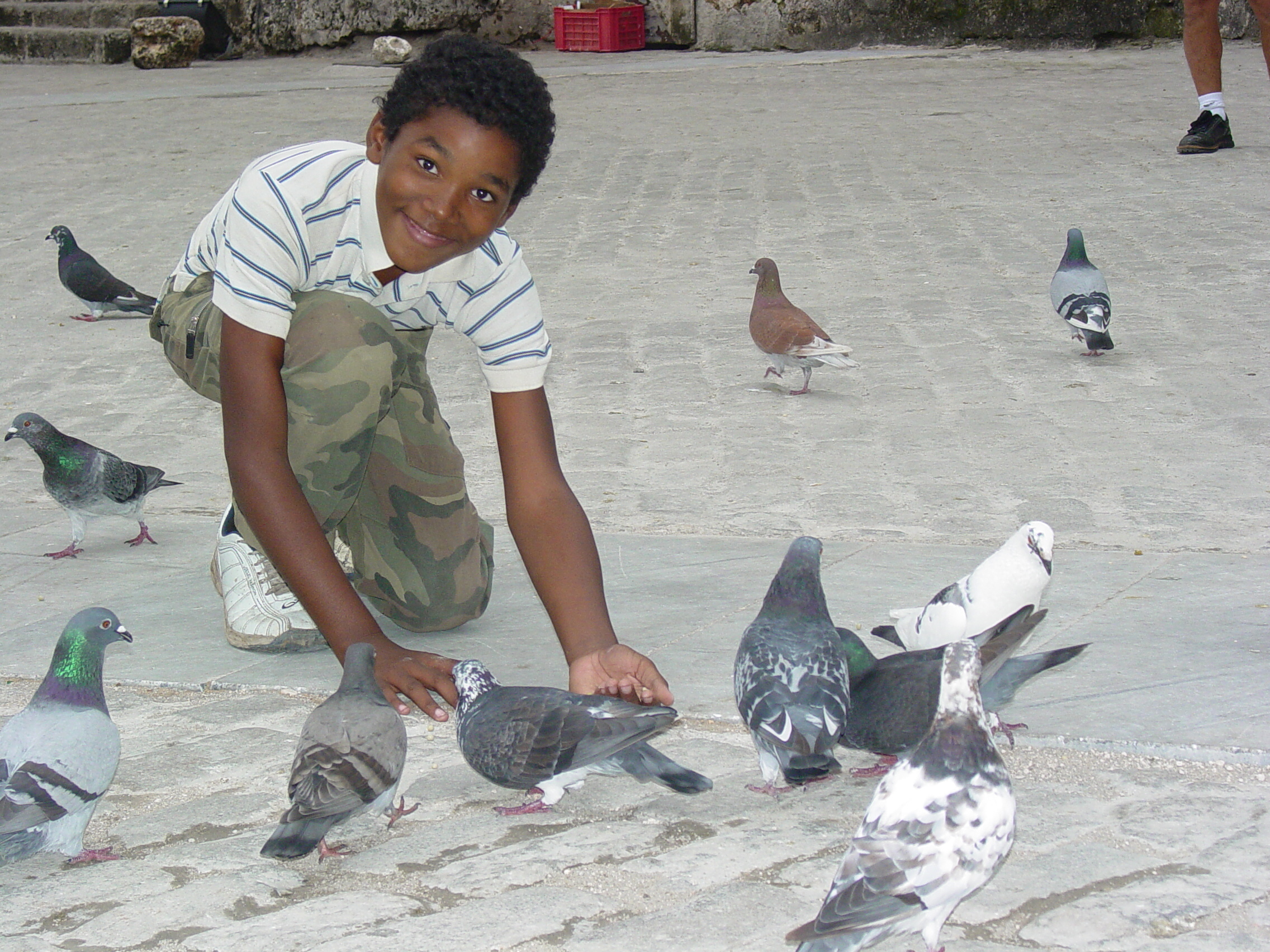 Boy in Plaza with Pigeons - Habana Vieja - Havana - Cuba