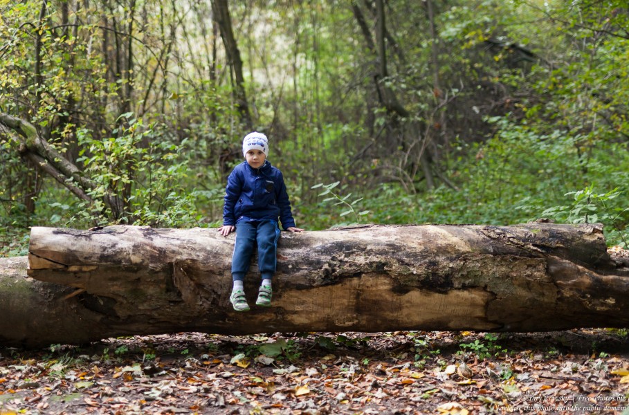 a 5-year-old boy photographed by Serhiy Lvivsky in October 2018 using a Sigma 50mm F1.4 DG HSM Art lens, picture 1