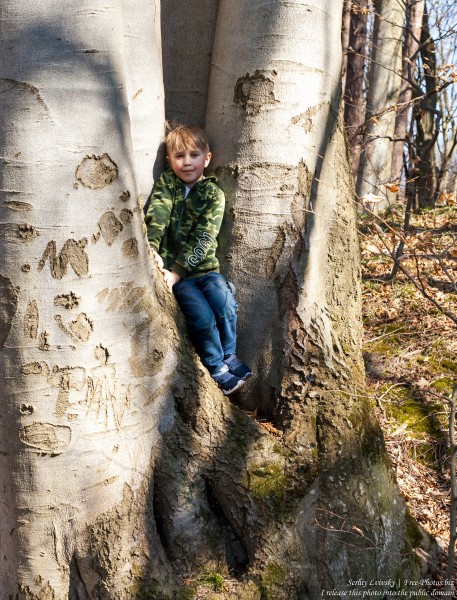 a 6-year-old Catholic boy photographed in March 2019 by Serhiy Lvivsky, picture 1
