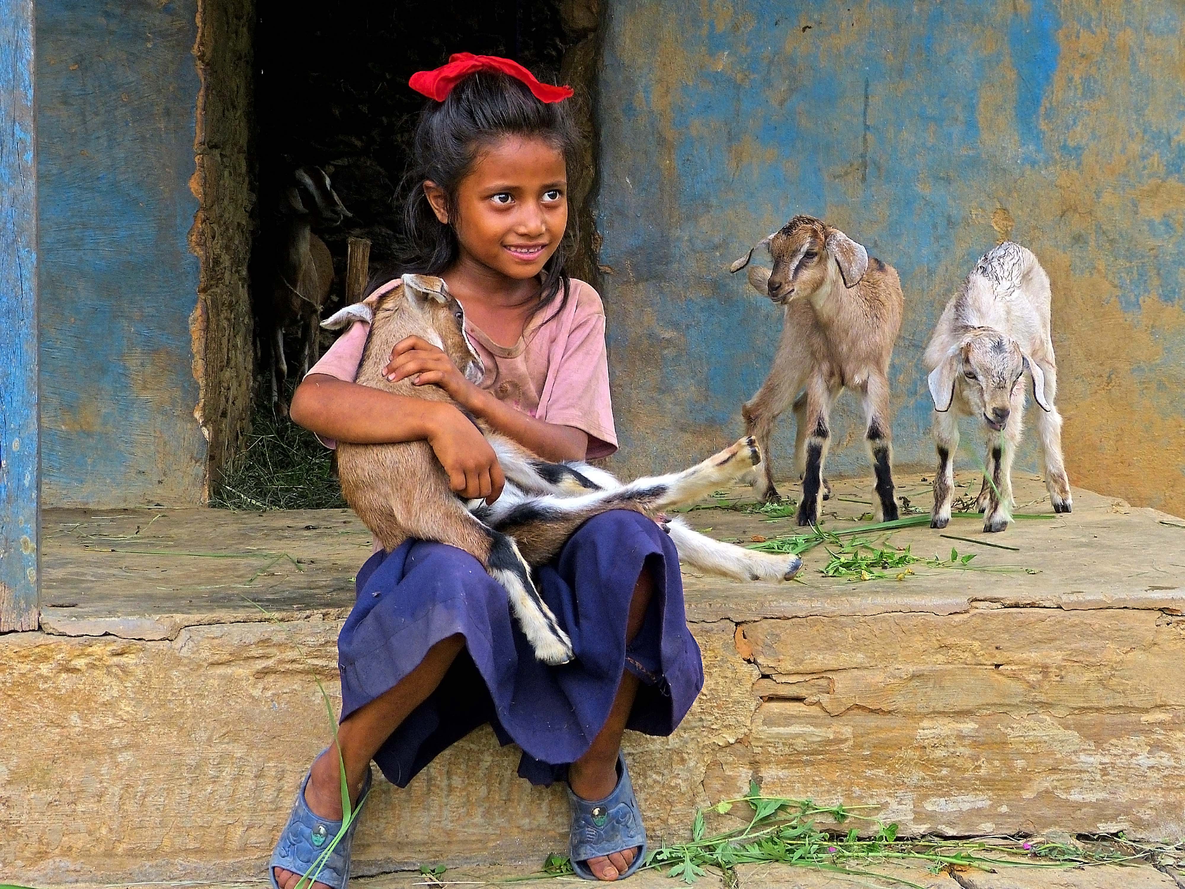 Mädchen mit Ziege (Nepal)