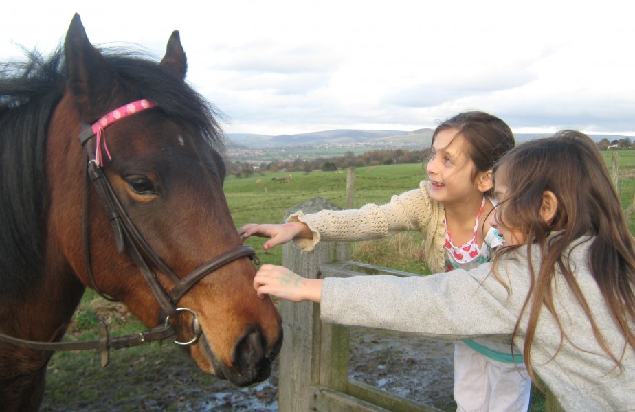 my girls stroking a horse 