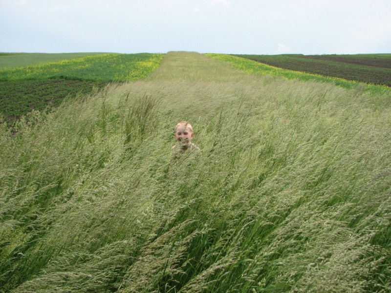 A boy in field, picture 2