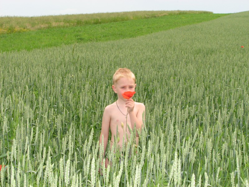 A boy in a field
