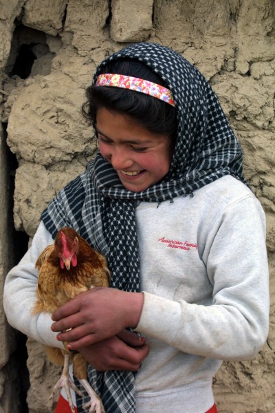 Girl with chicken afghanistan