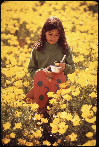 KATHY MARTIN CARRYING A PLANT HOME FROM SCHOOL THROUGH A FIELD OF YELLOW POPPIES - NARA - 542703