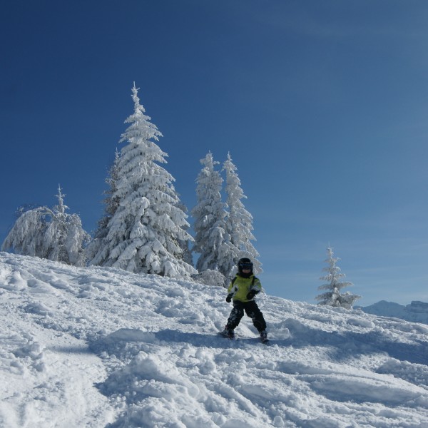 Skiläufer Böhringer
