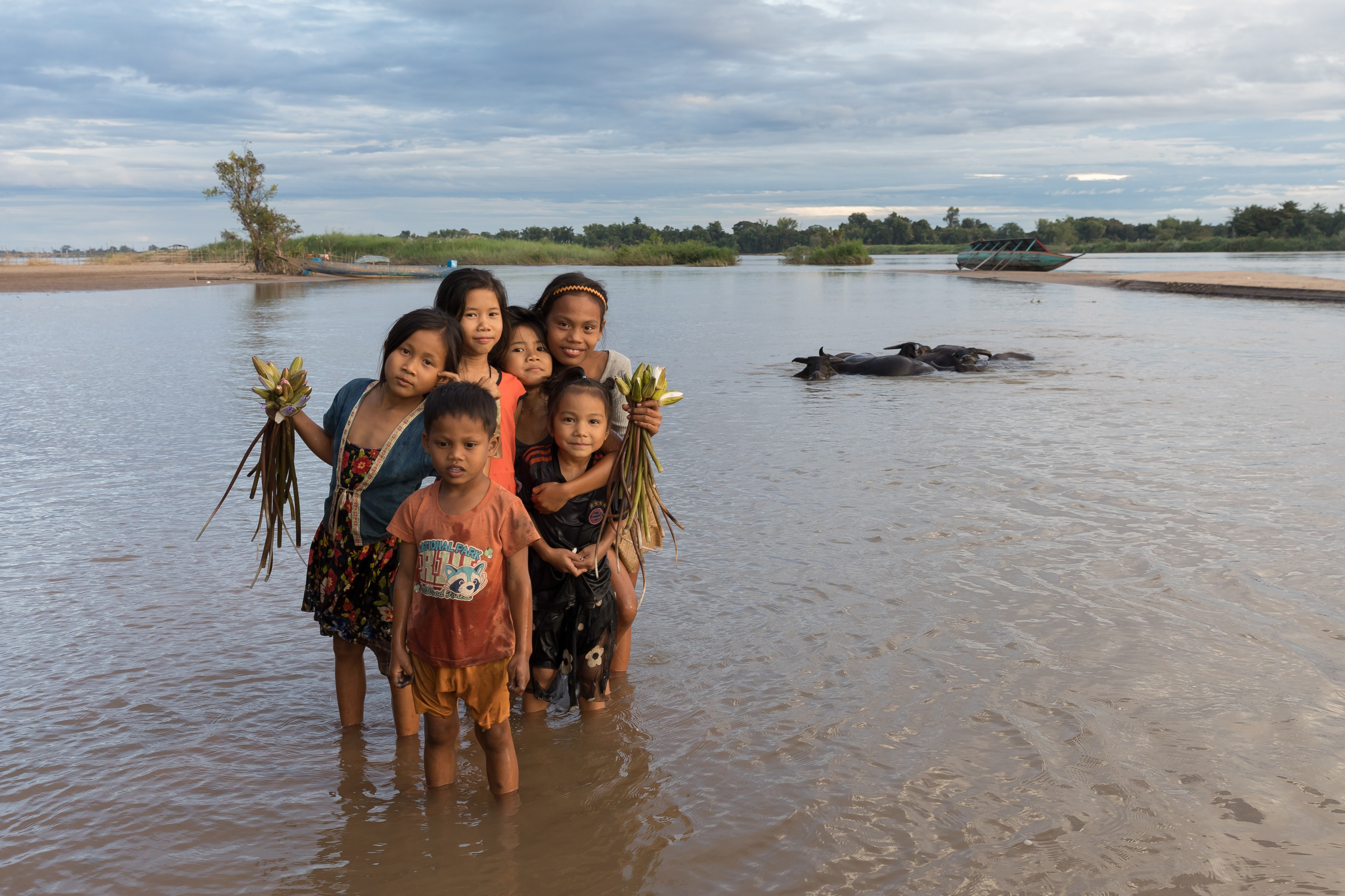 Six children in the Mekong with buffalos and boat