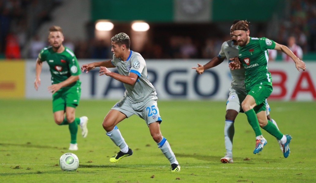 2018-08-17 1. FC Schweinfurt 05 vs. FC Schalke 04 (DFB-Pokal) by Sandro Halank–452