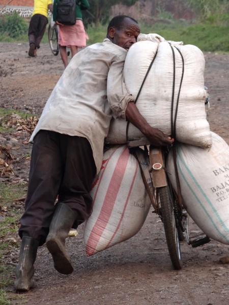 Man Hauls Sacks on Bike - Kisoro - Southwestern Uganda
