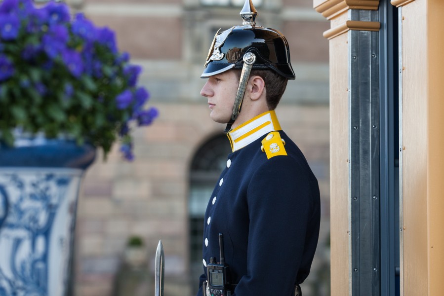 a royal palace guard in Stockholm city, Sweden, June 2014, picture 24