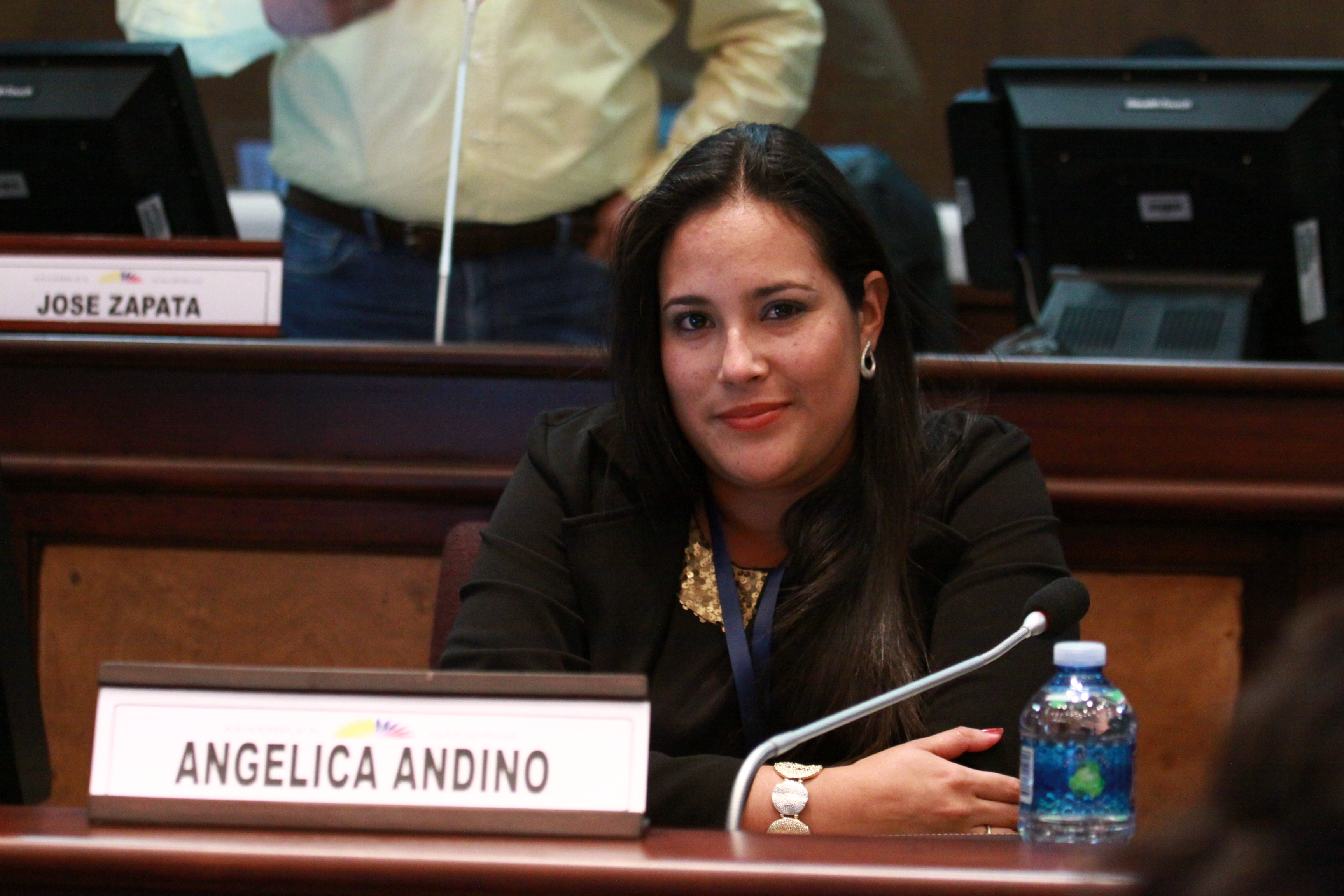 Asambleísta Angélica Andino en la sesión No.- 243 del Pleno de la Asamblea Nacional (9315168279)