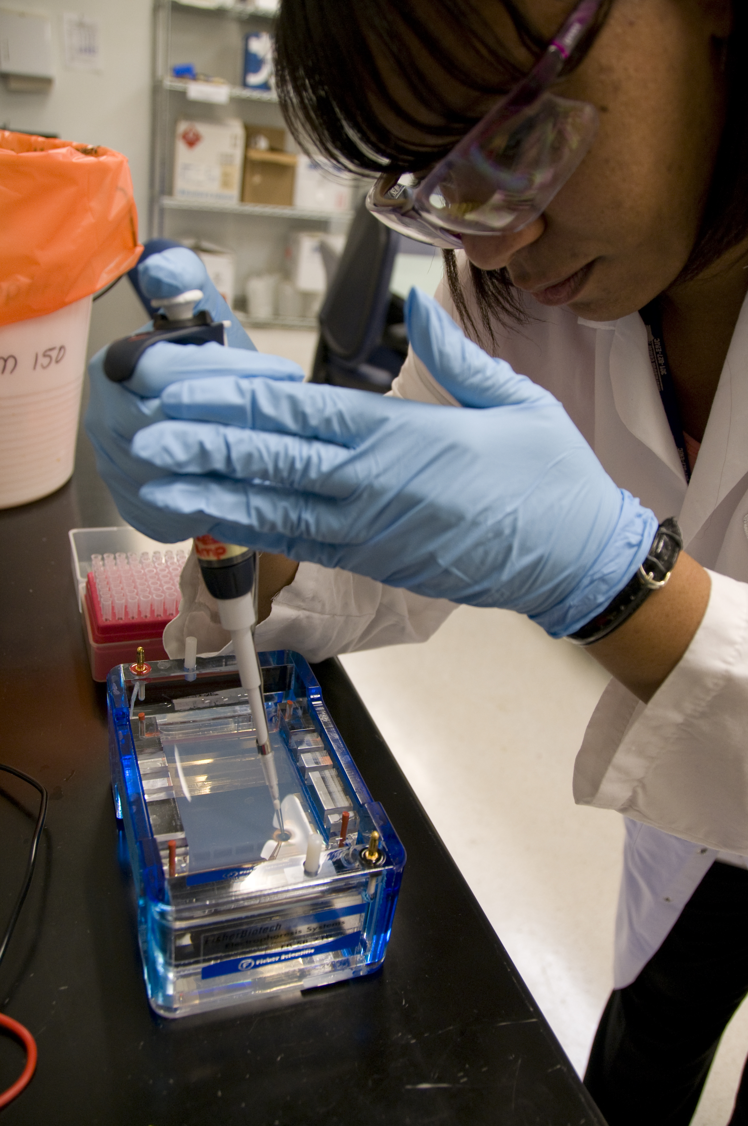 FDA microbiologist prepares DNA samples for gel electrophoresis analysis