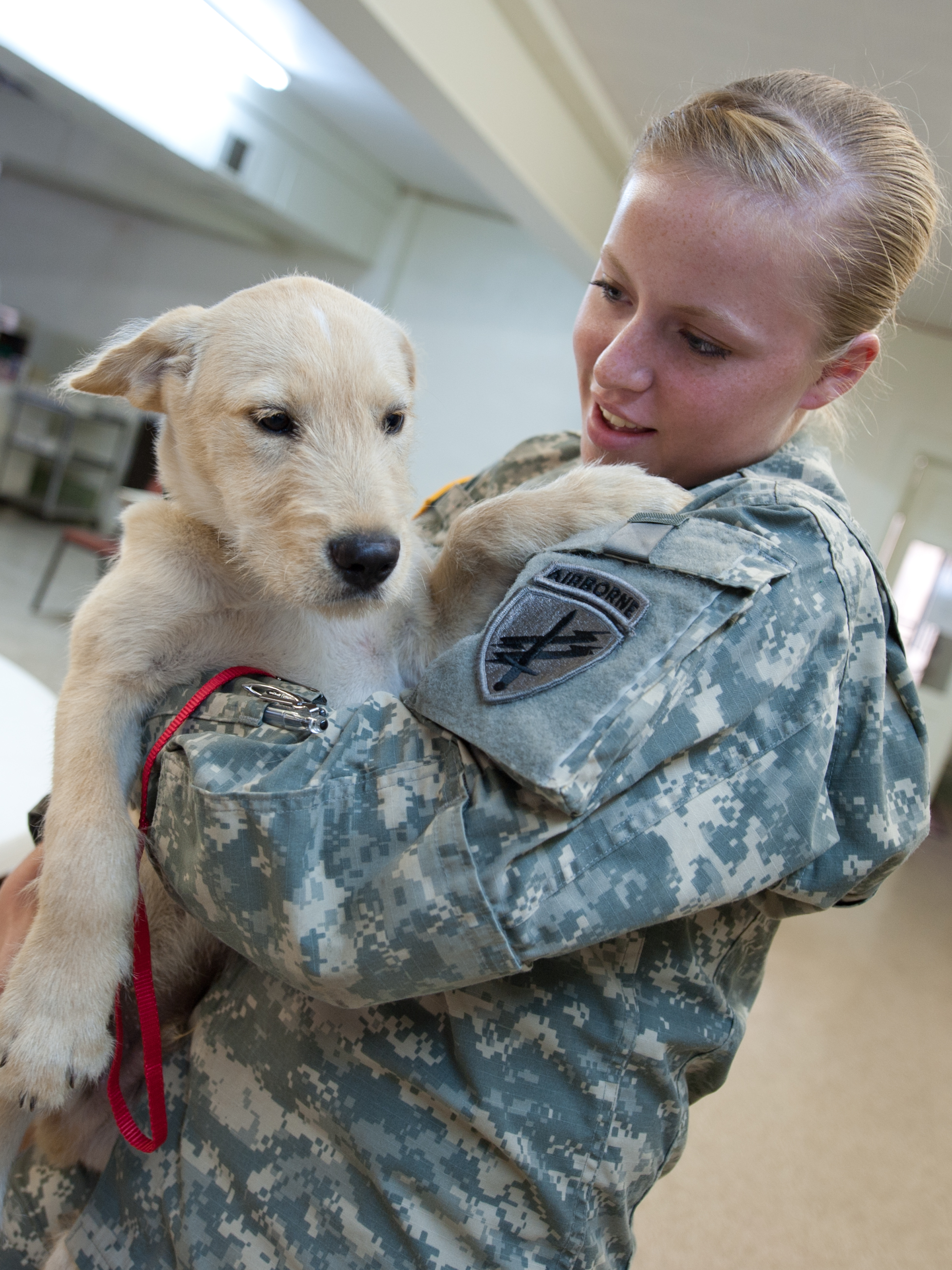Flickr - DVIDSHUB - Army Reserve civil affairs soldiers extend helping hands to furry friends (Image 5 of 6)