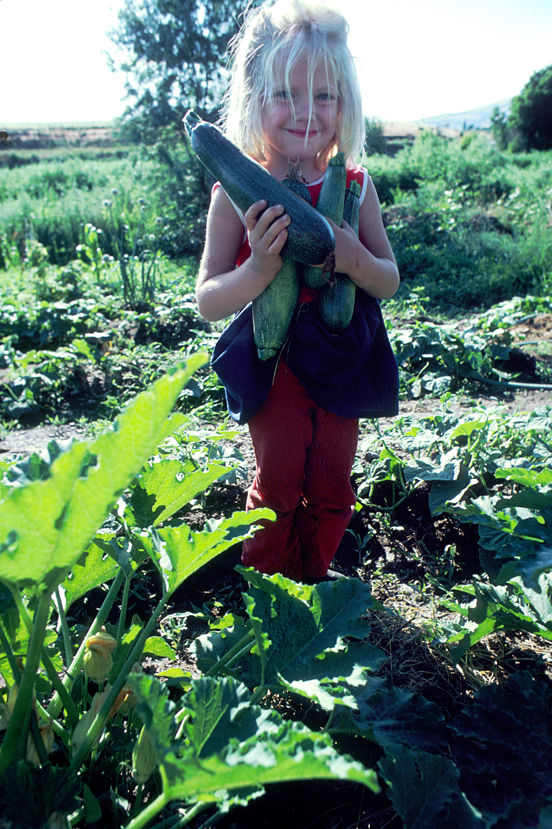 Girl holding zucchini