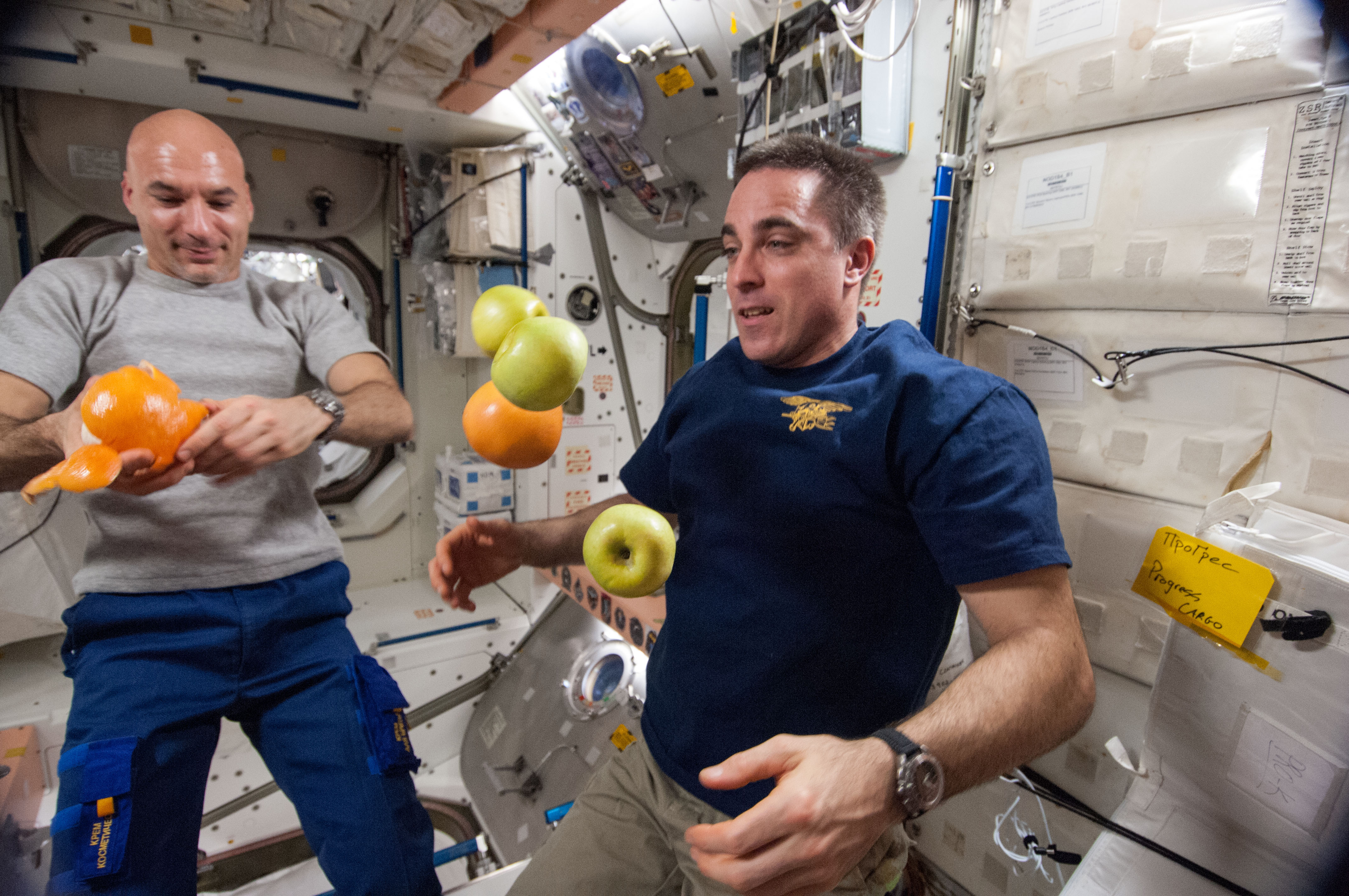 ISS-36 Luca Parmitano and Chris Cassidy with fresh fruit in the Unity node