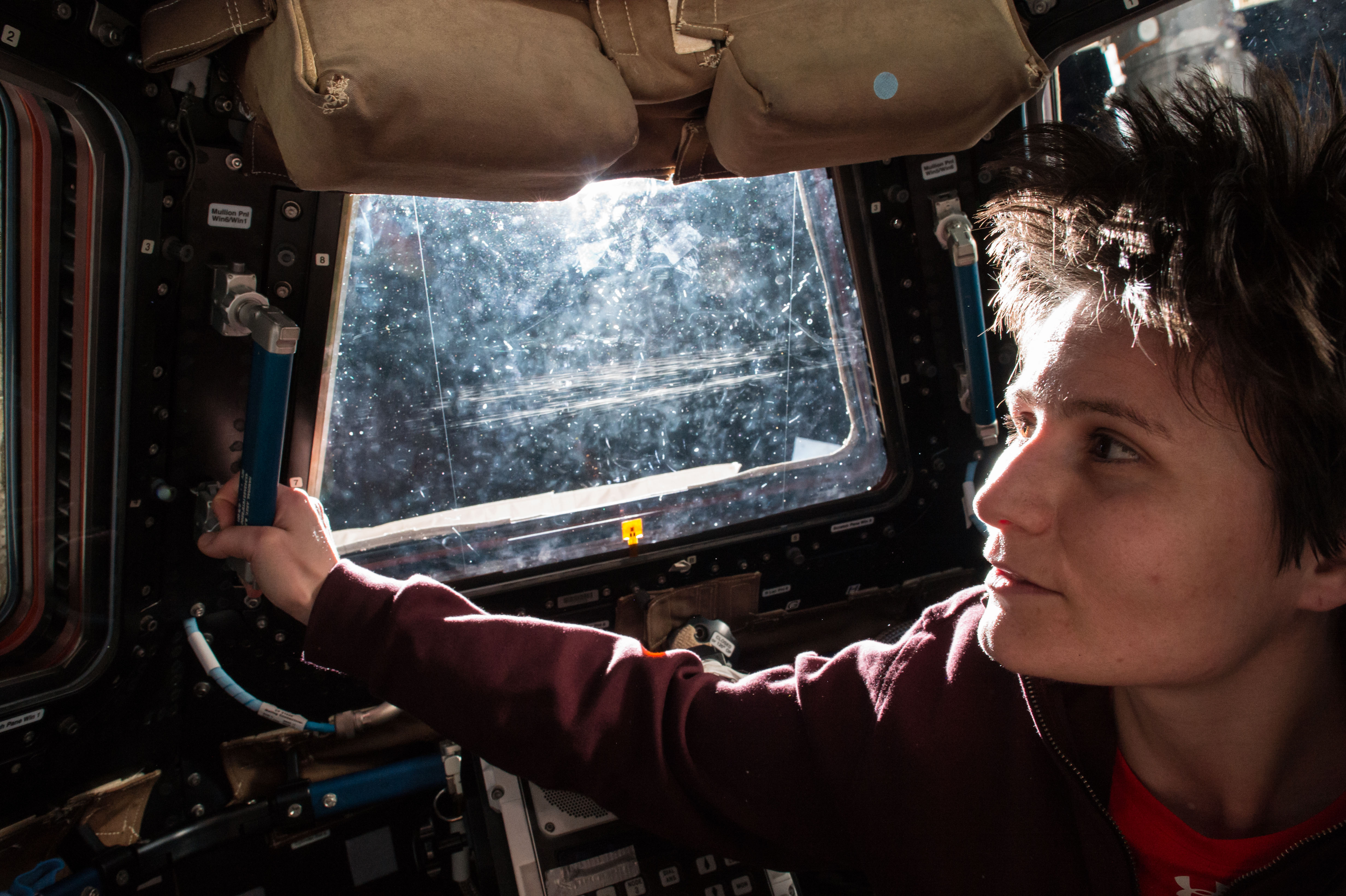 ISS-42 Samantha Cristoforetti enjoys a sunrise