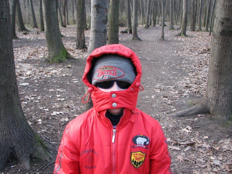 A boy in a forest