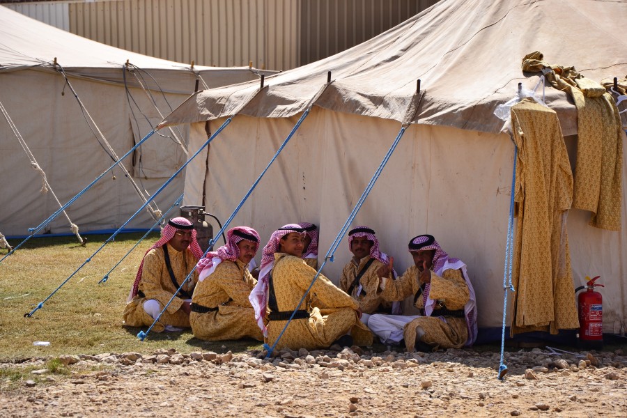 Al Khaledia Arabian Horse Festival (6781692375)
