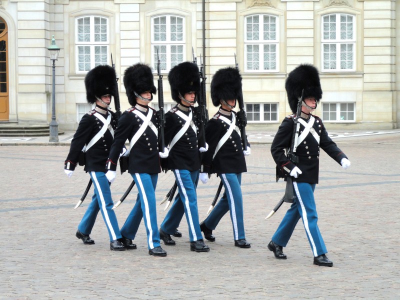 Amalienborg Palace guards - DSC07134