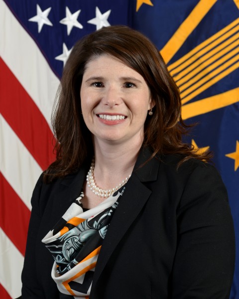 Heidi Smith, the director of Intelligence Sharing and Partner Engagement, Office of the Under Secretary of Defense for Intelligence, poses for her official portrait in the Army portrait studio at the Pentagon 131112-A-SS368-003