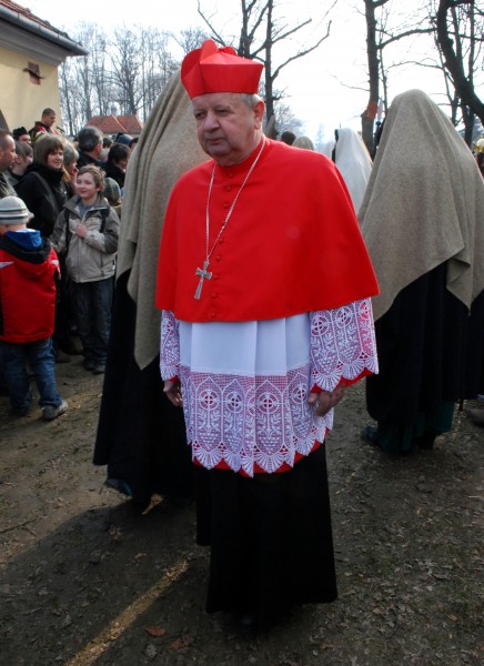 Kardynał Dziwisz