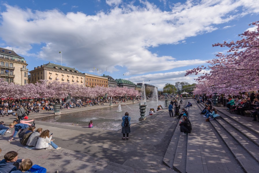 Kungsträdgården April 2015 02